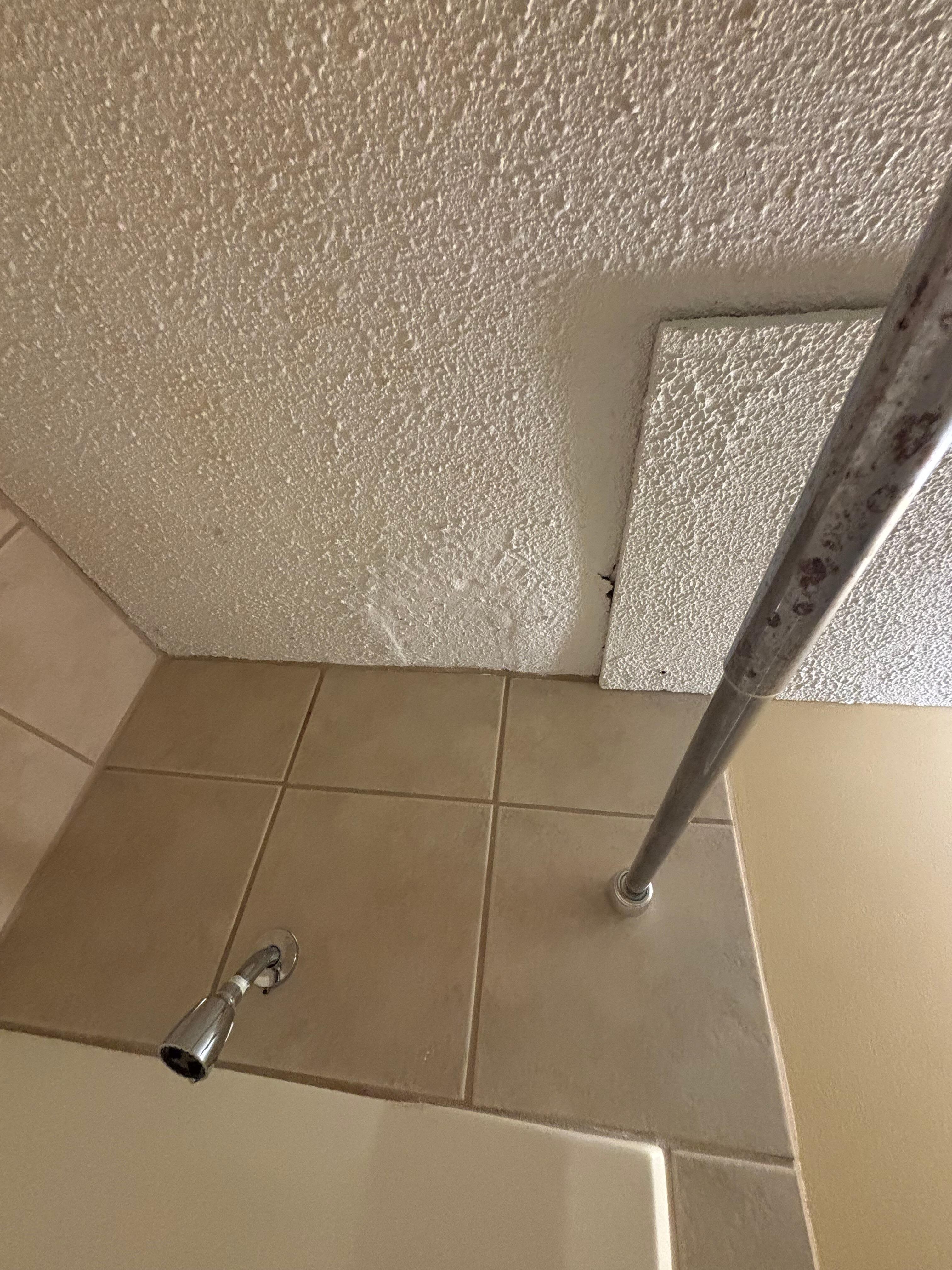 Ceiling needs repair