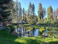 Resort is on a stream