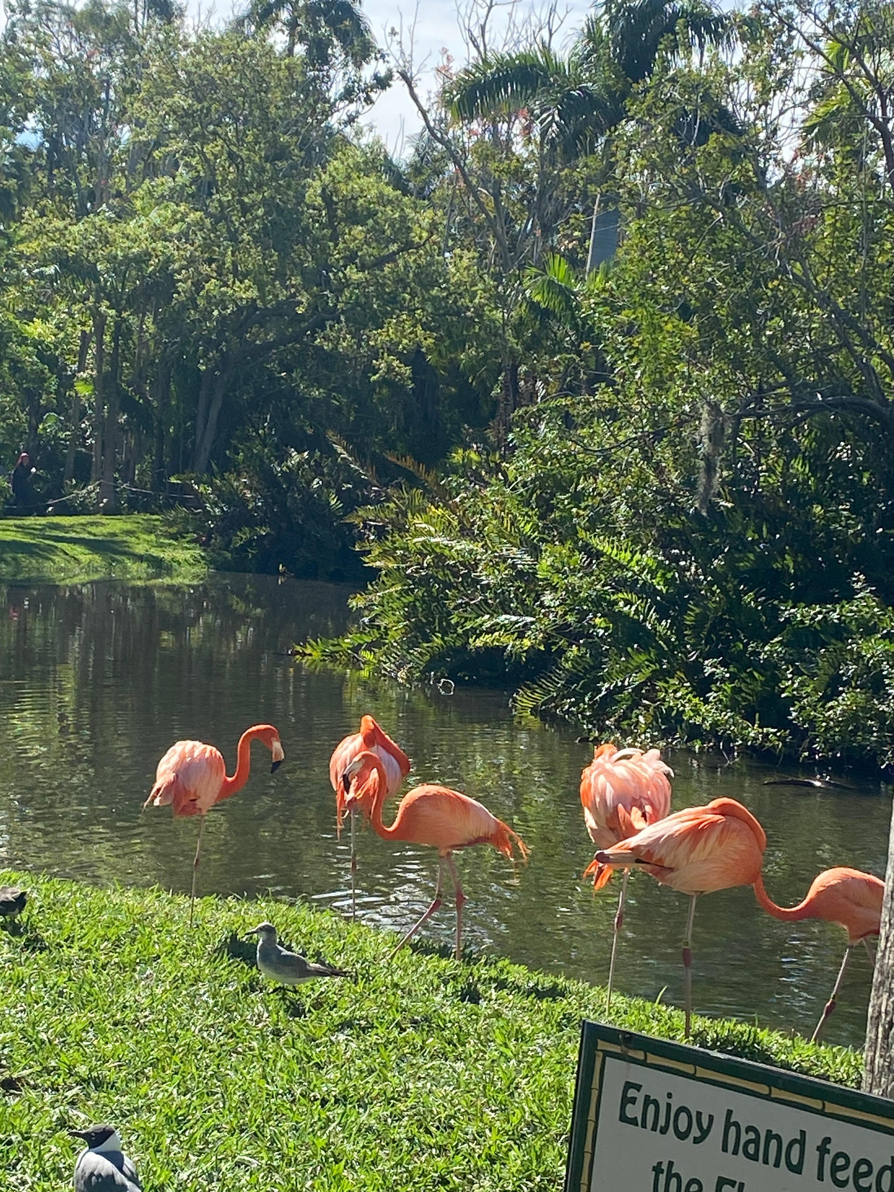 Wonderful zoo nearby 