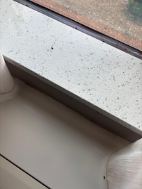 Bugs on the windowsill
