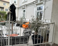 Bars for protection on windows