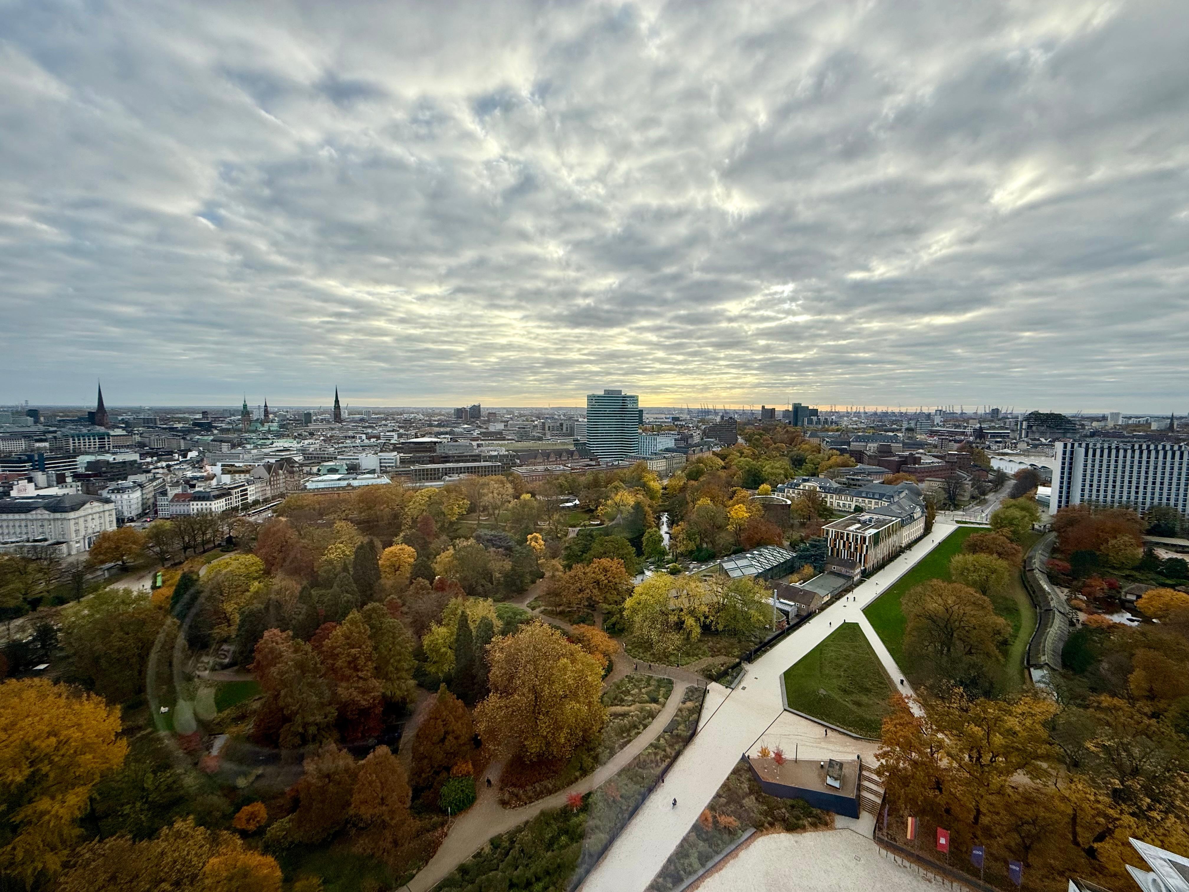 Aussicht auf den botanischen Garten 