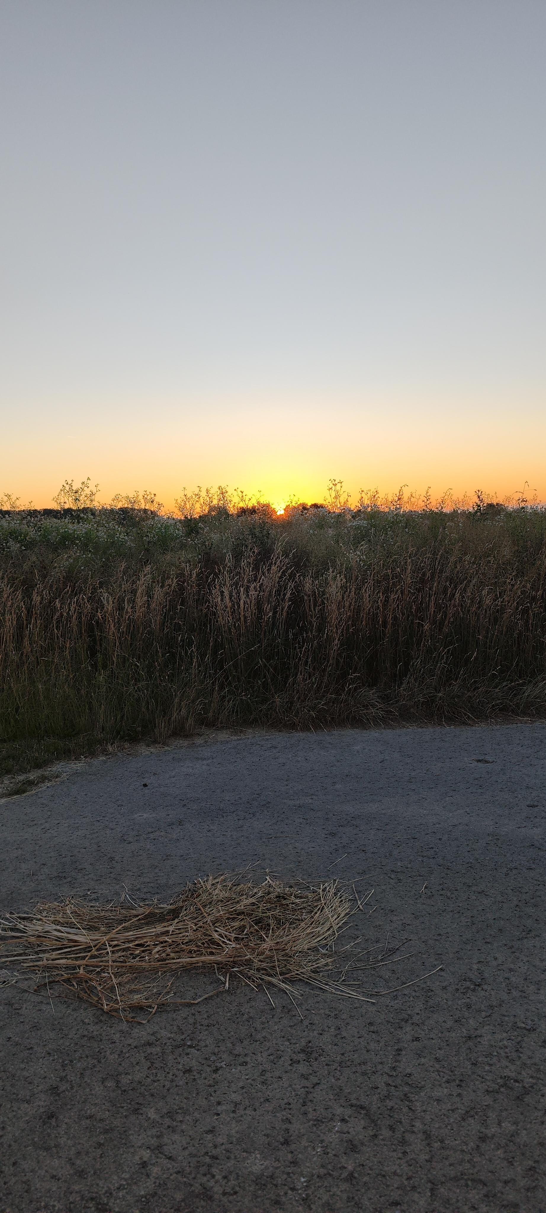 Halb 6 Sonnenaufgang 