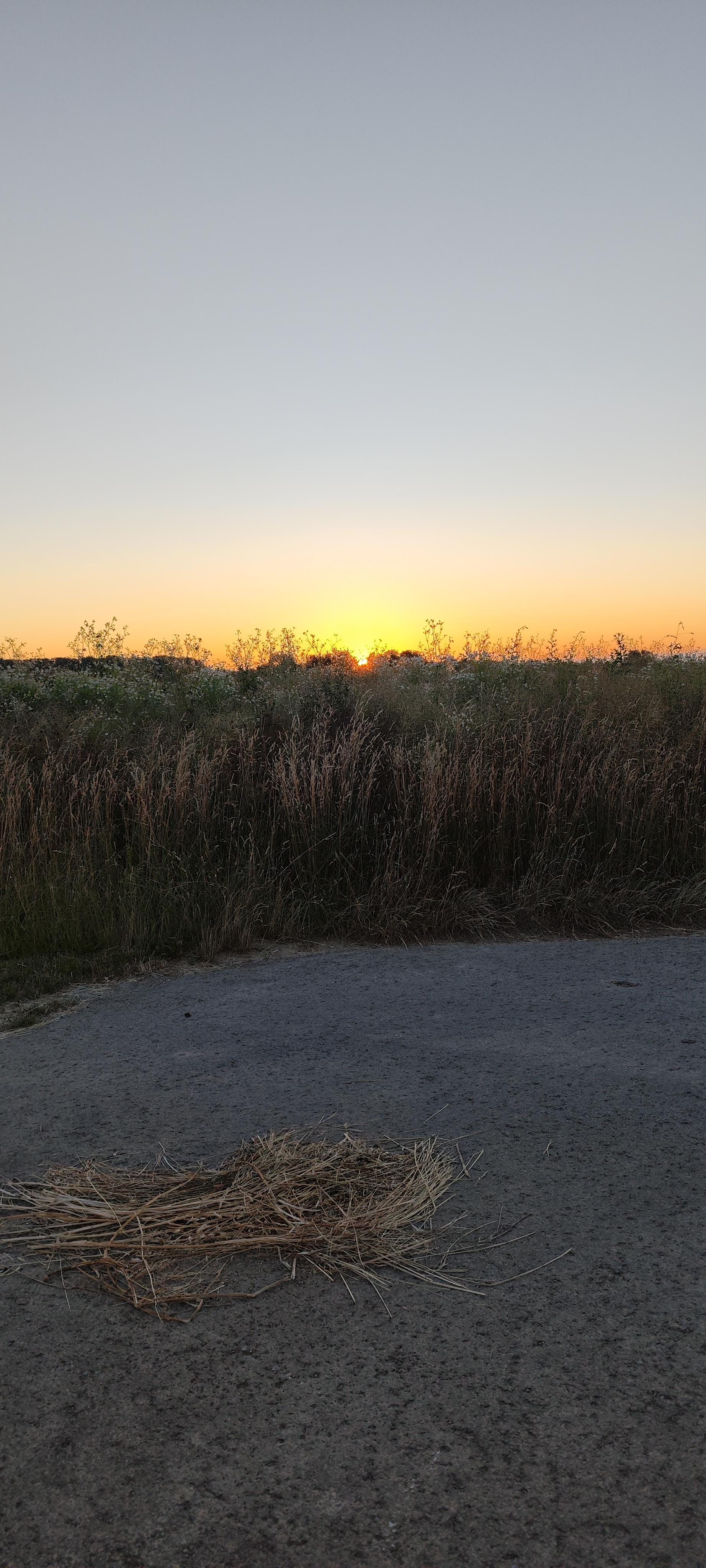Halb 6 Sonnenaufgang