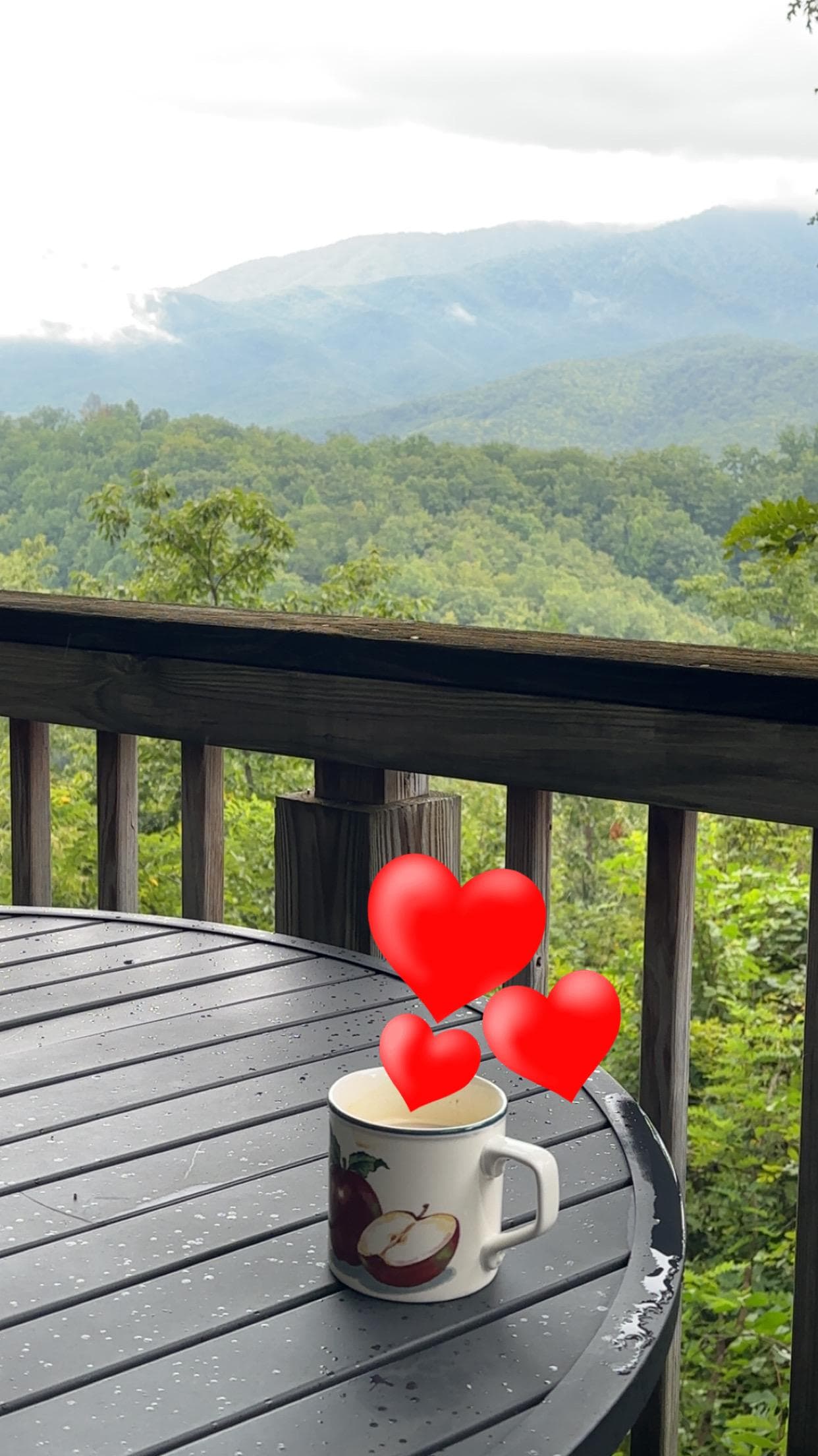 View sitting at the table out front 