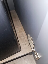 Mouse droppings I found after seeing the mouse run across the room.