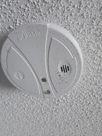 Moldy ceiling