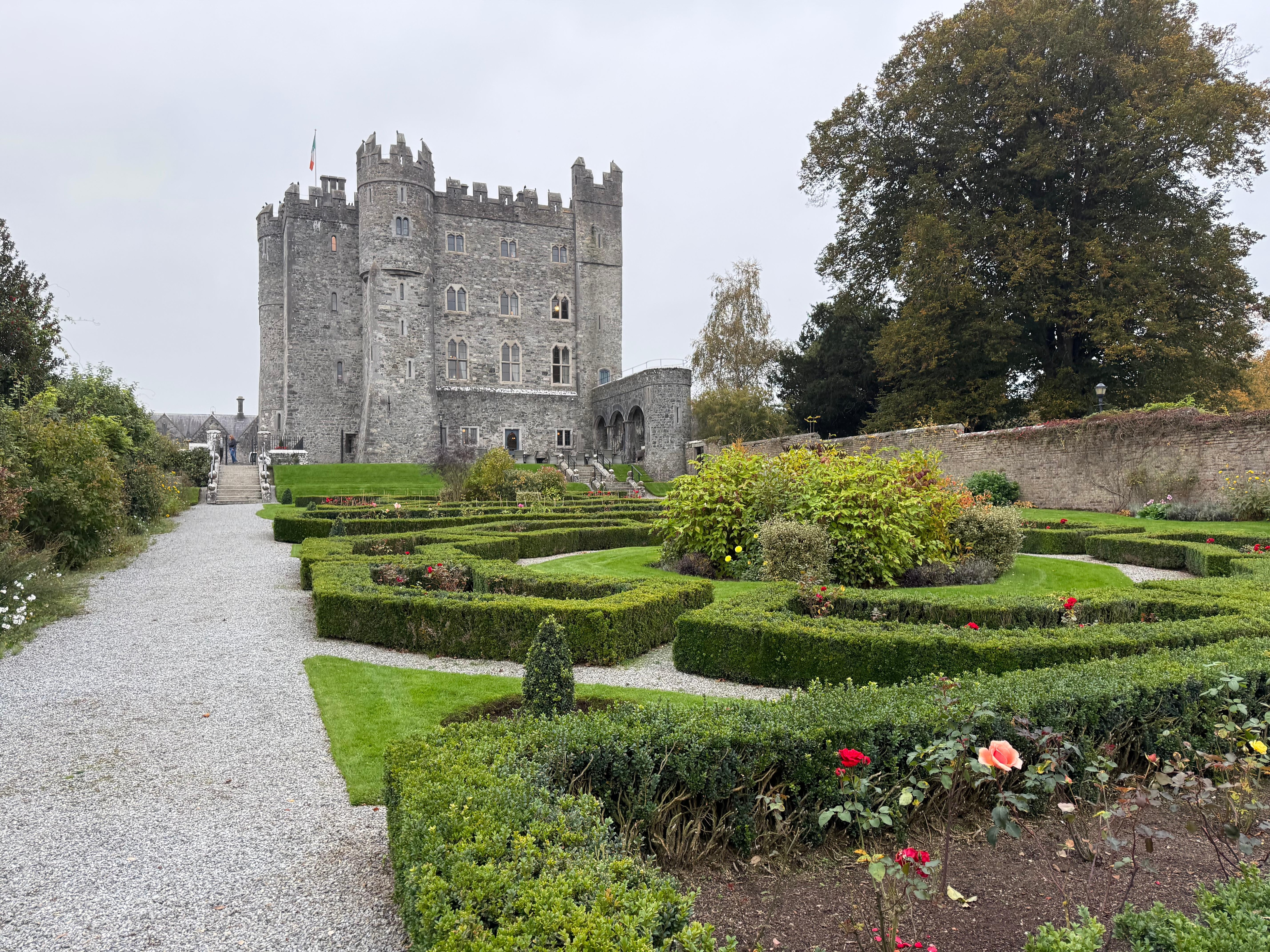 View from the garden