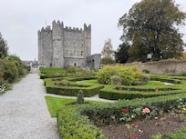View from the garden