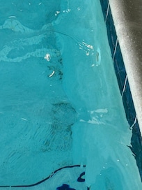 Dirt in pool
Gross
