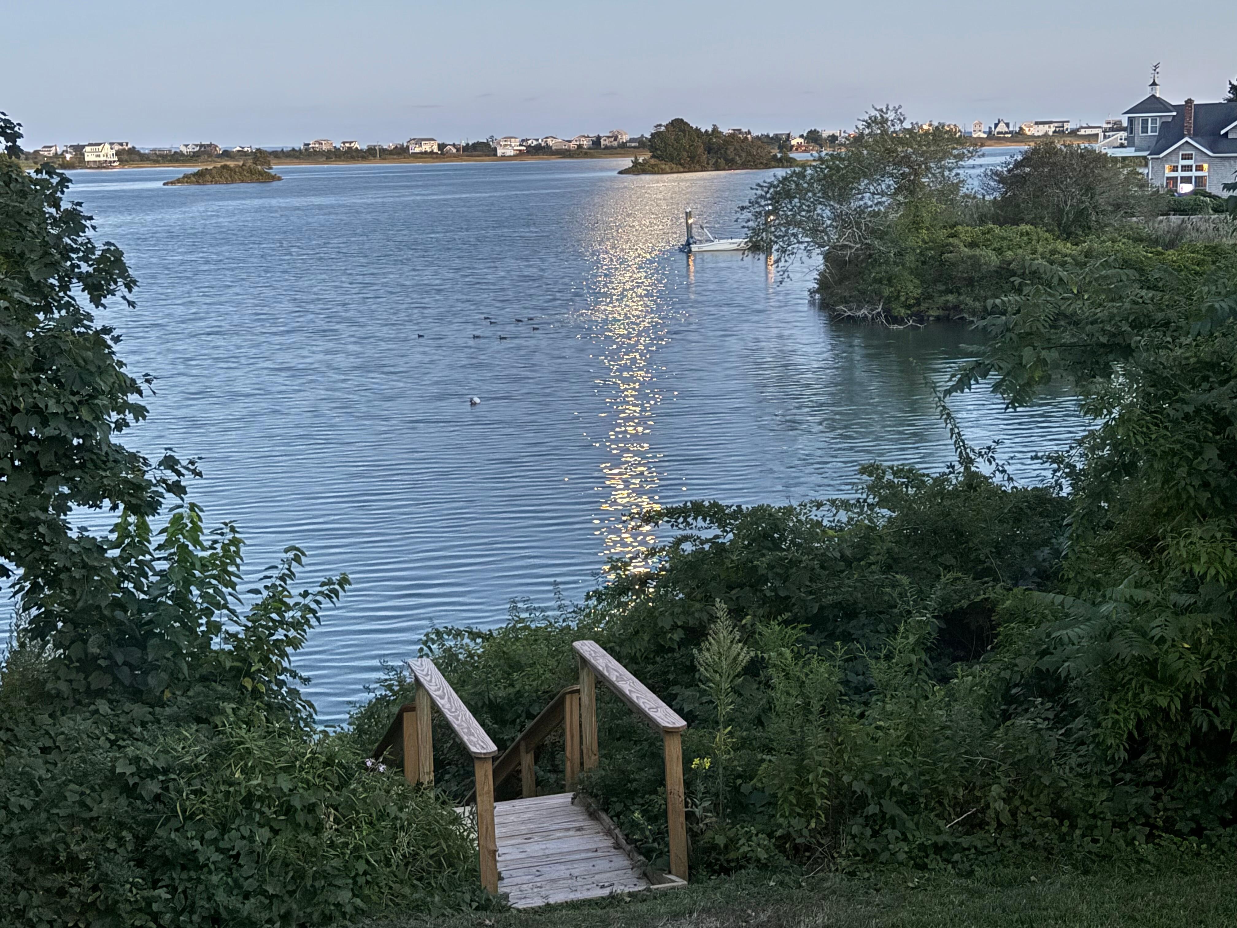 Moonlight on the pond. 
