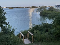 Moonlight on the pond.
