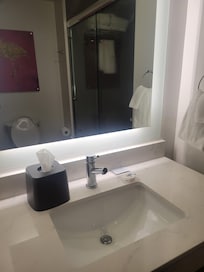 Sink and mirror with barns doors