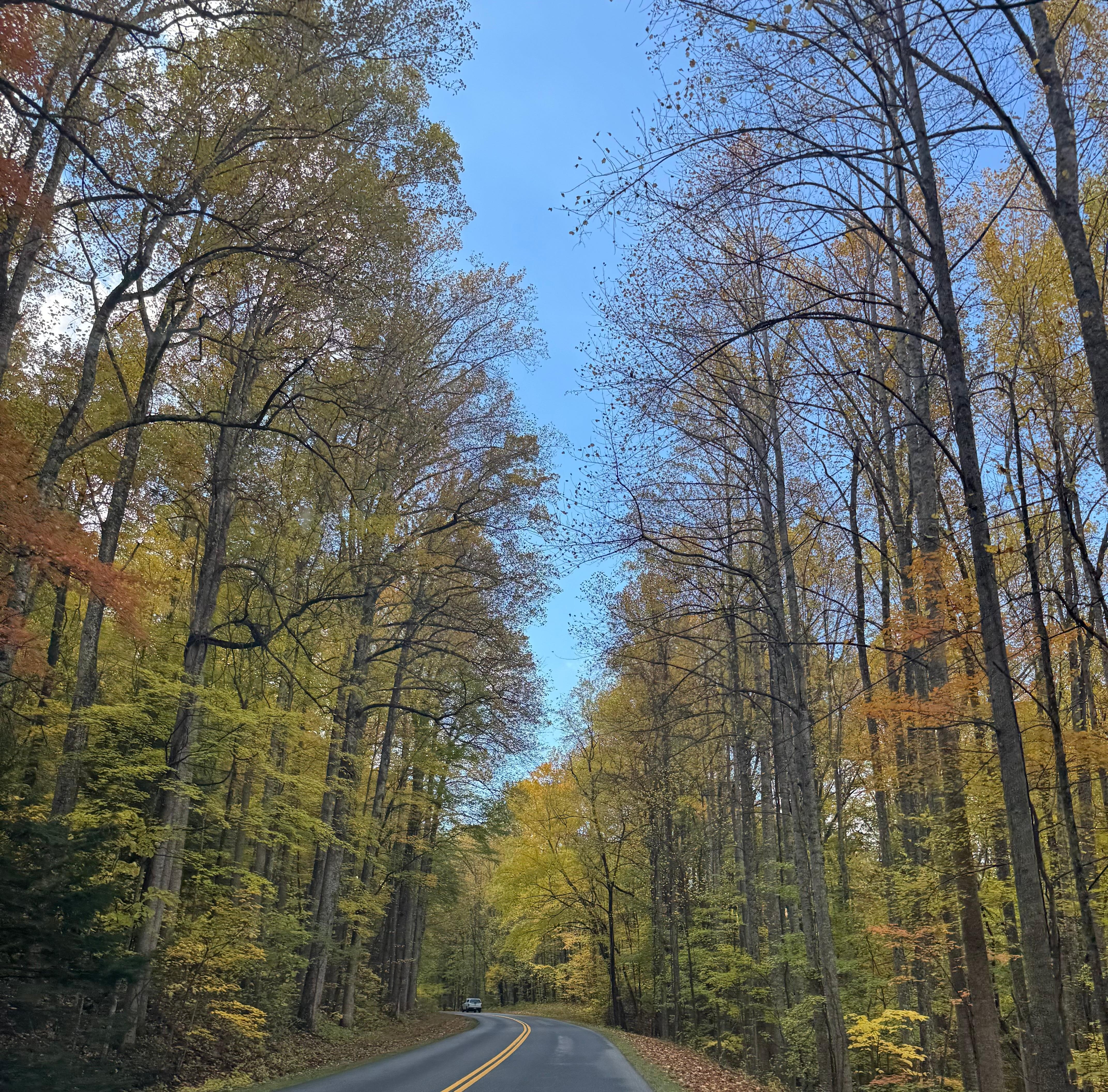 Heading into Cades Cove