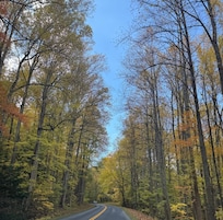 Heading into Cades Cove