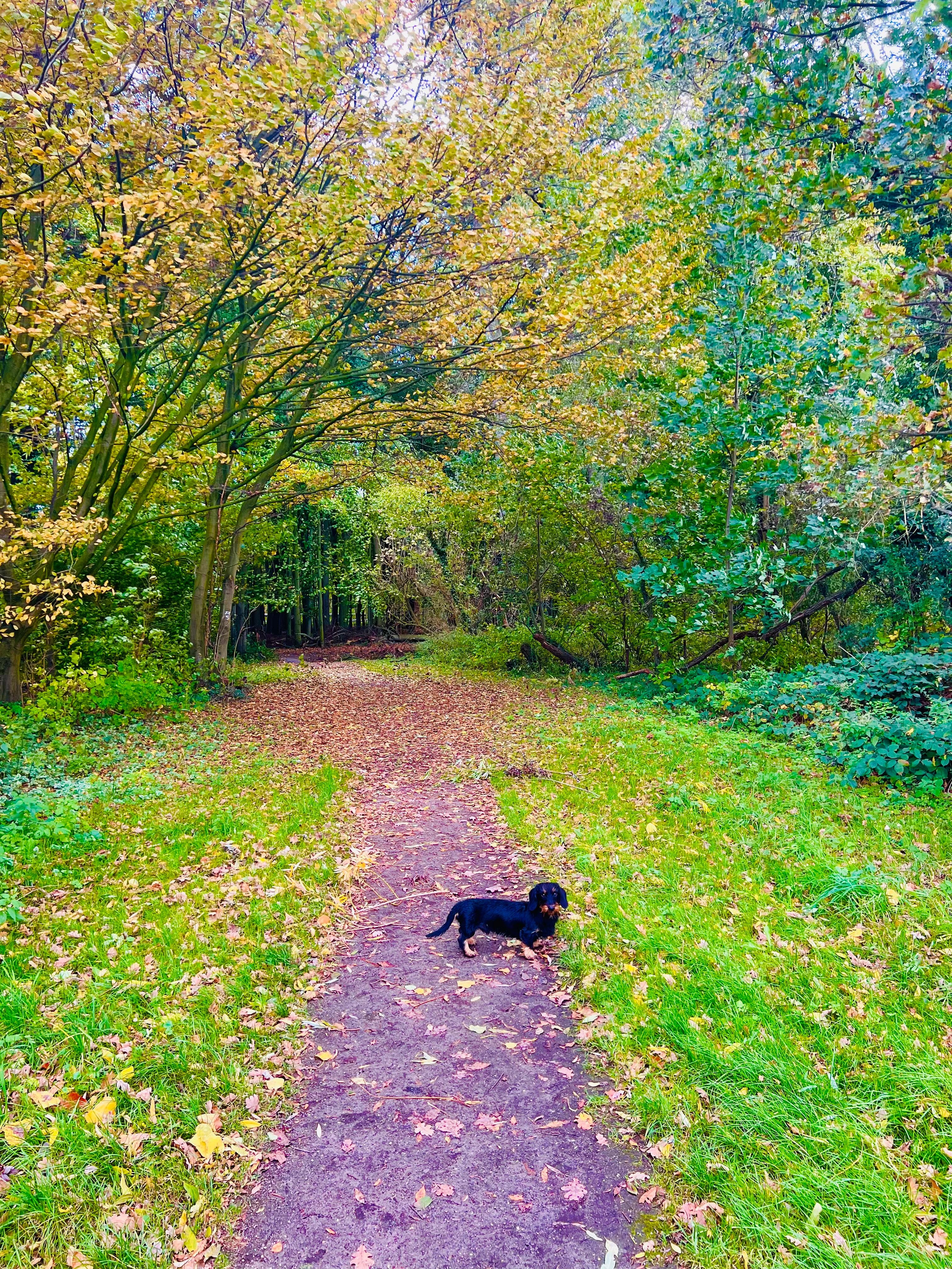 View to the sea from my Favoriten sunbed under the palm tree
