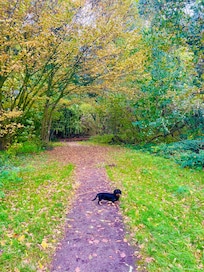 View to the sea from my Favoriten sunbed under the palm tree