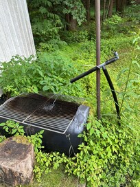 Spring water. Where my husband had to clear out debris blocking water coming into the cabin.