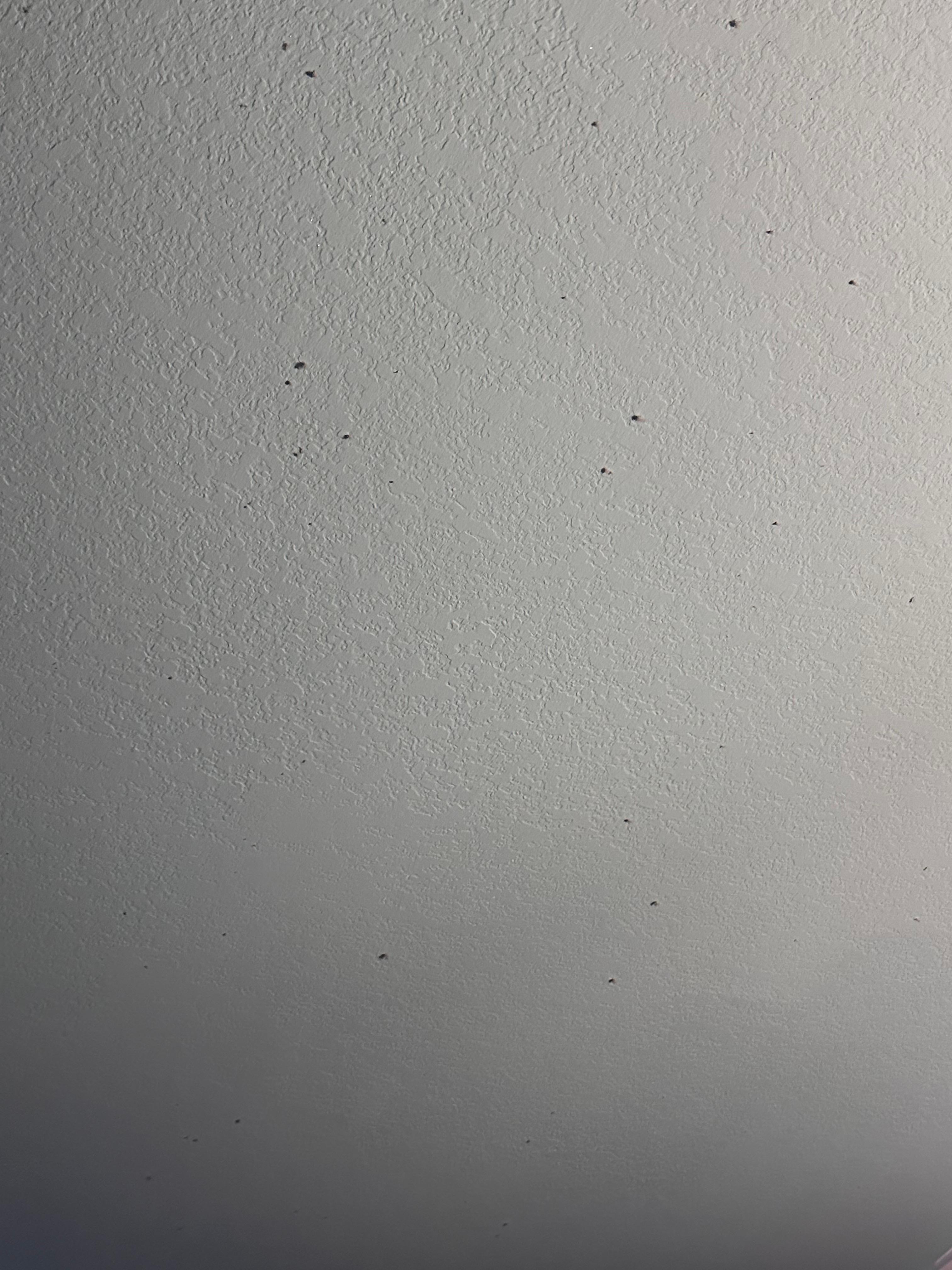 The dust in the master