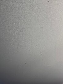 The dust in the master