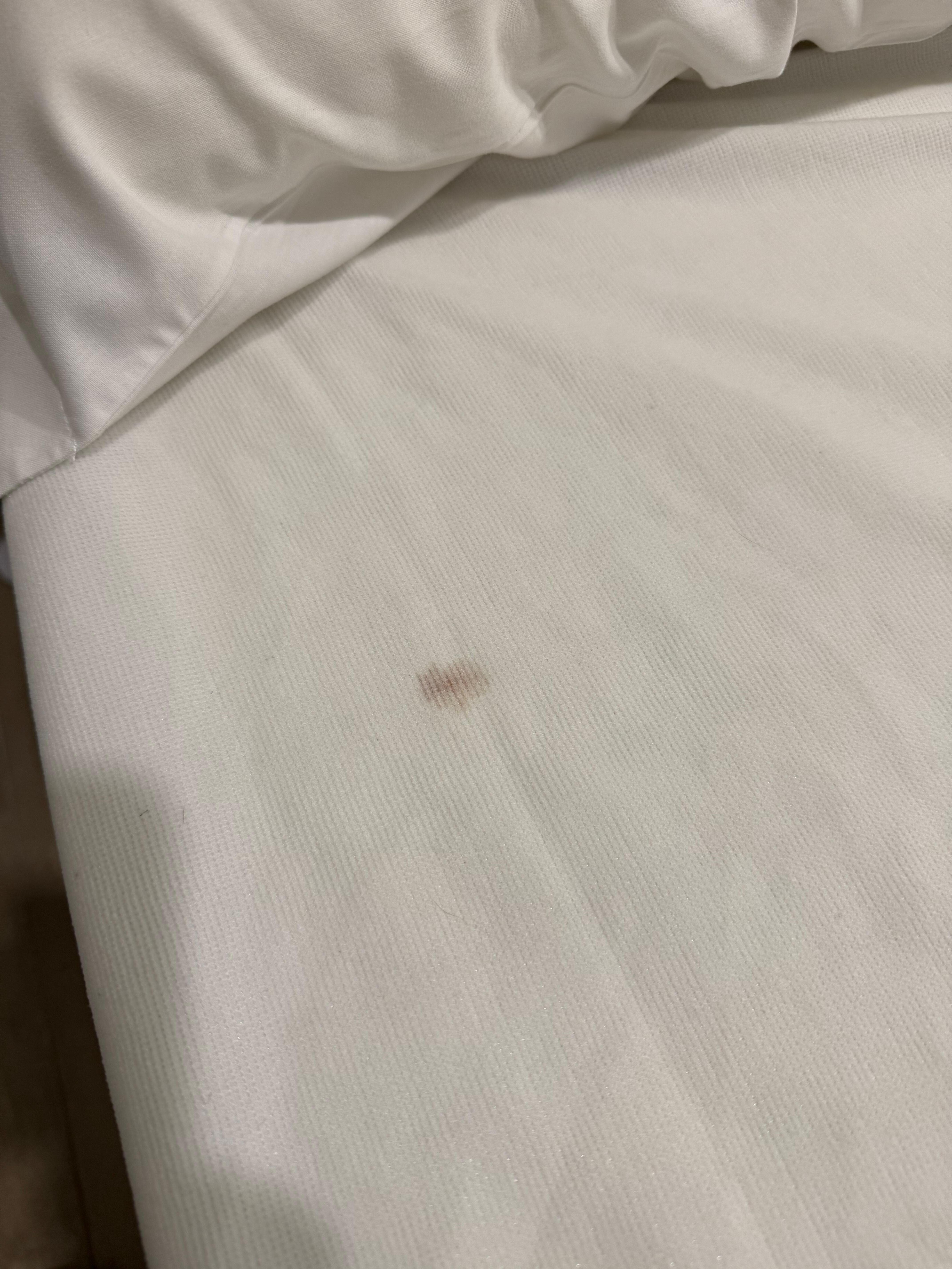 Blood stain on the bed's sheets