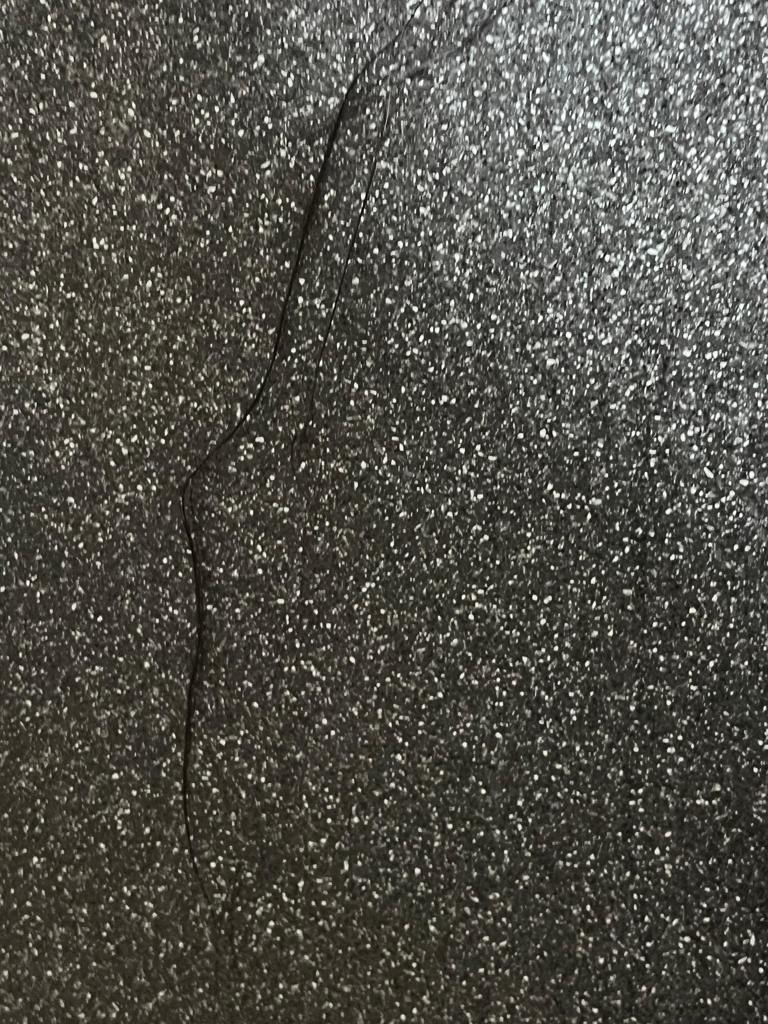 Hair on the wall , none of us have black hair. 