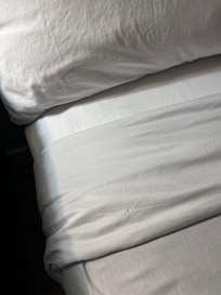 A roach that we killed in the bed