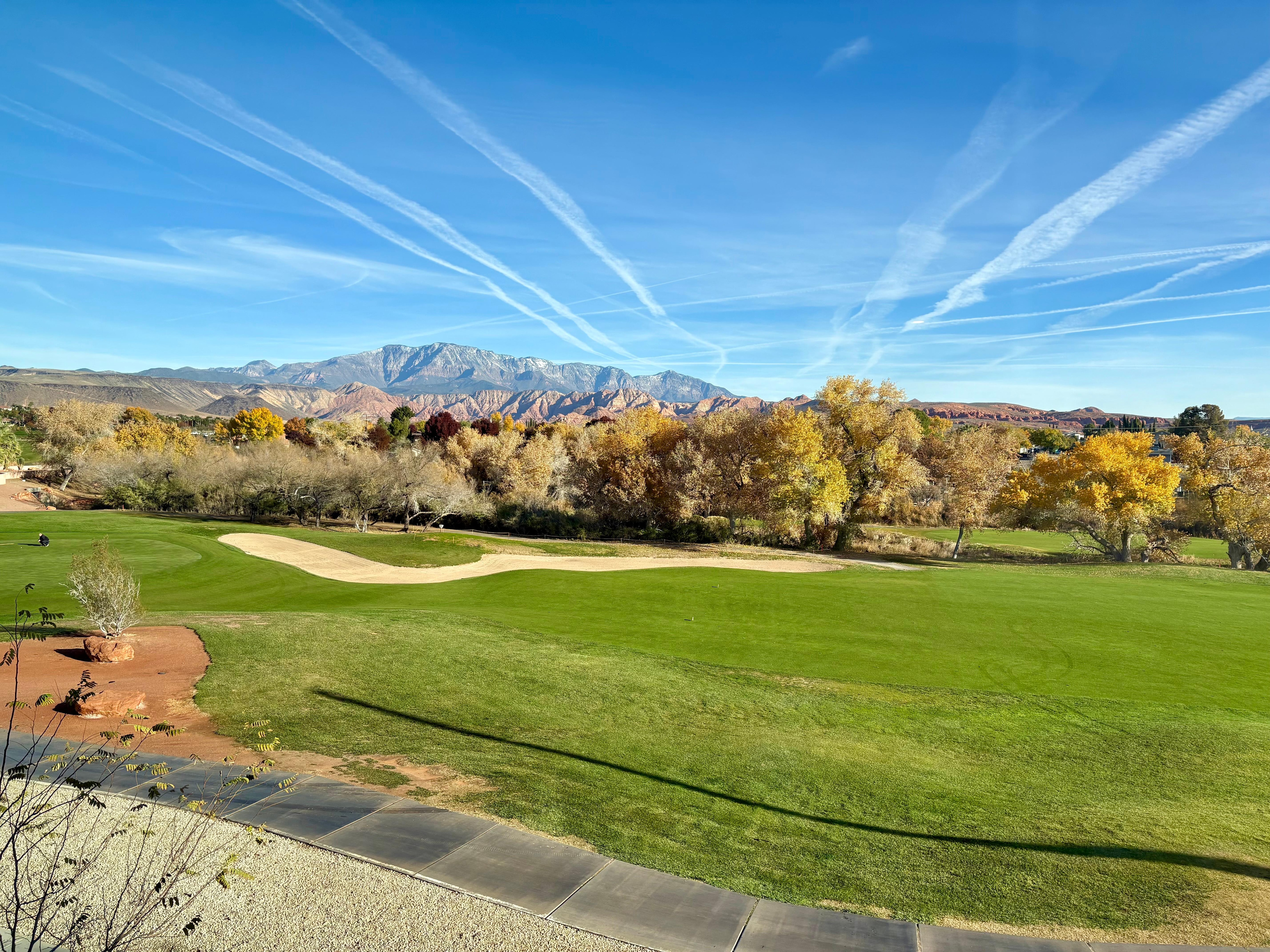 View from my third floor window
