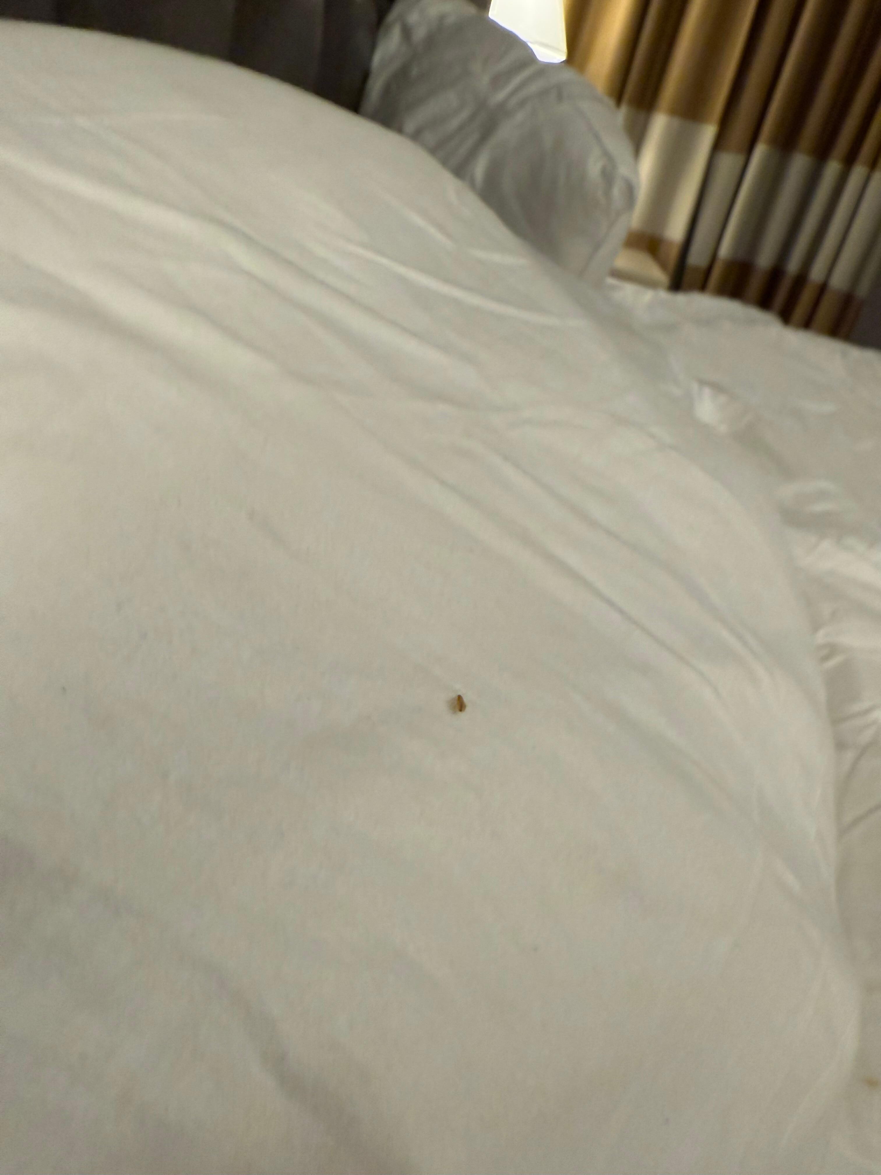 blob:https://www.expedia.com/54260c94-4581-425f-9a4d-92ddc36537dd