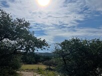 View from front porch:)