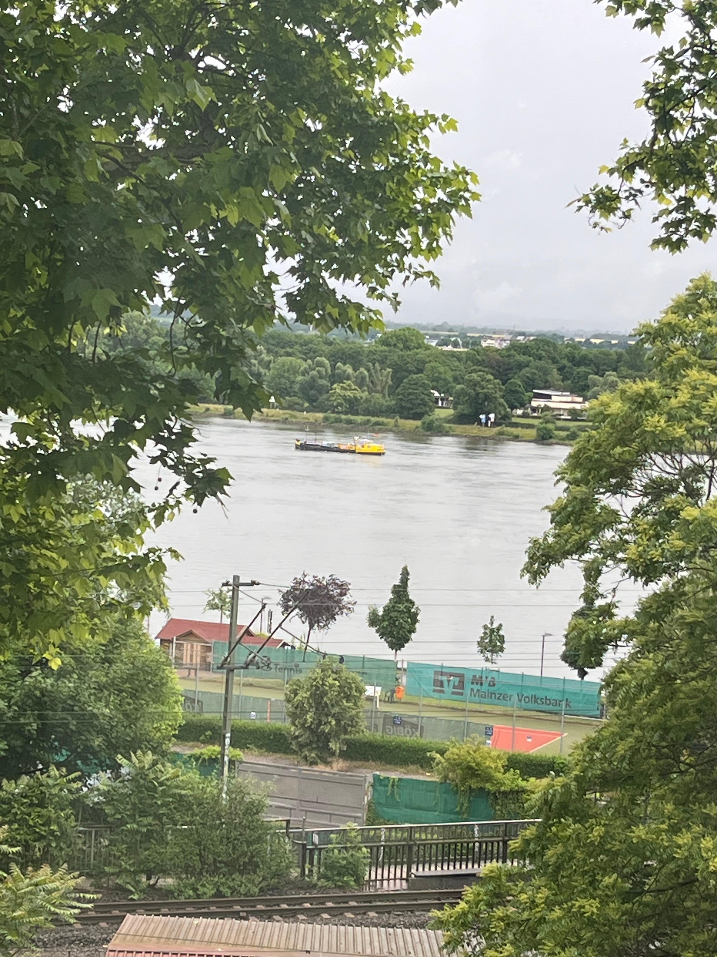 Room view, river Rhine including freight train in foreground