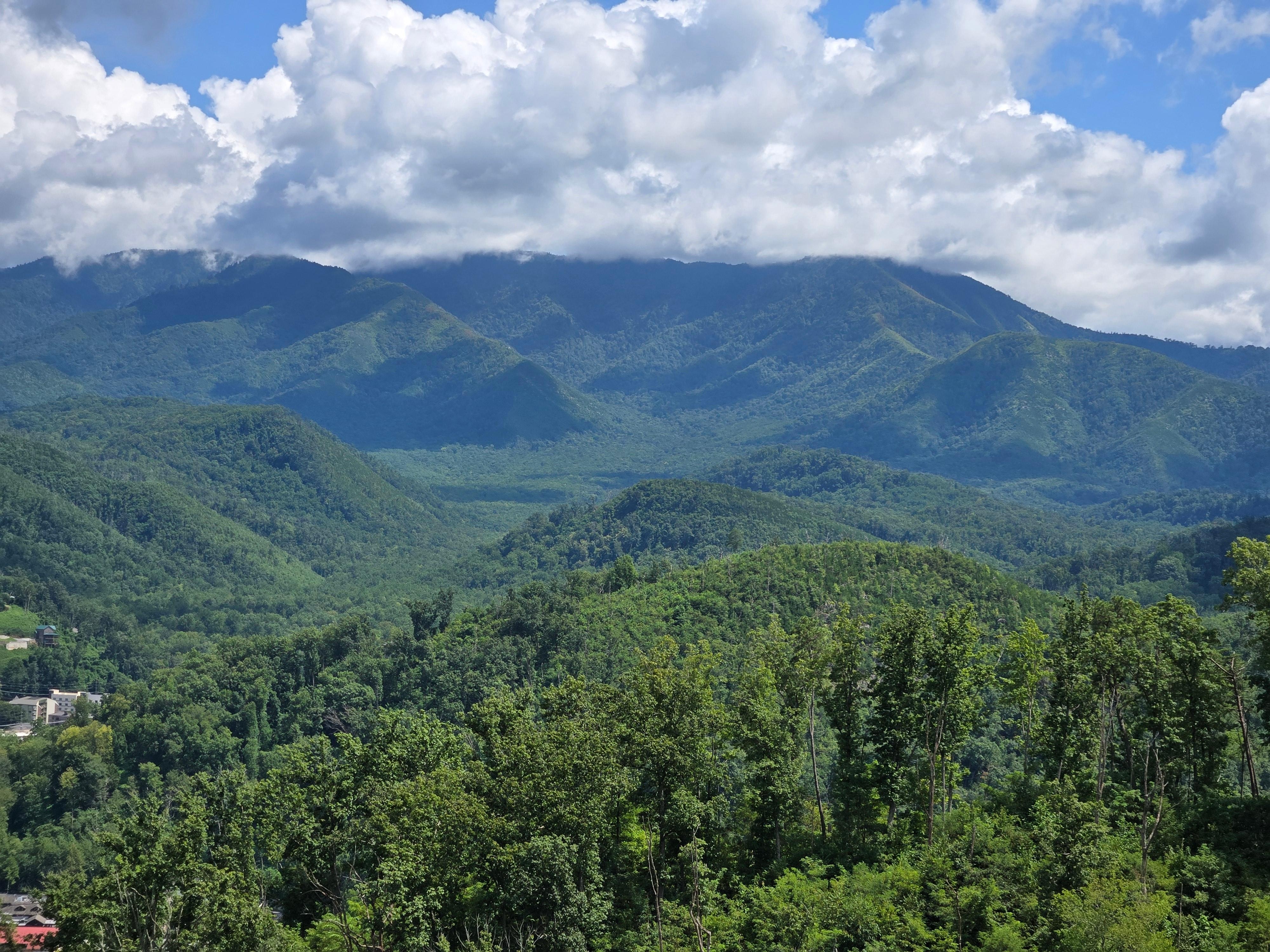 Scenic overlook in the park.