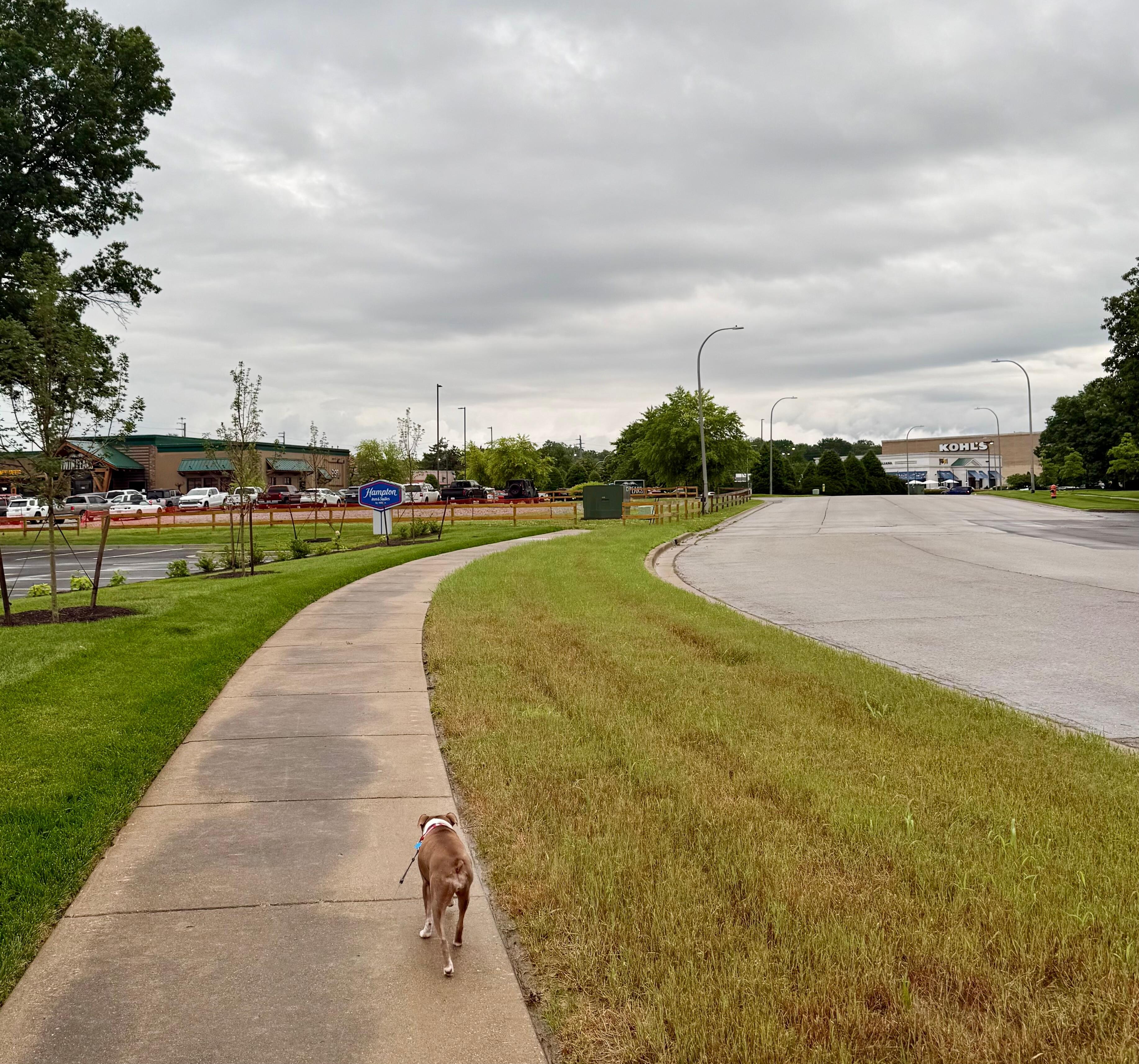 Sidewalks connecting to dining and great for walking the fur babies 