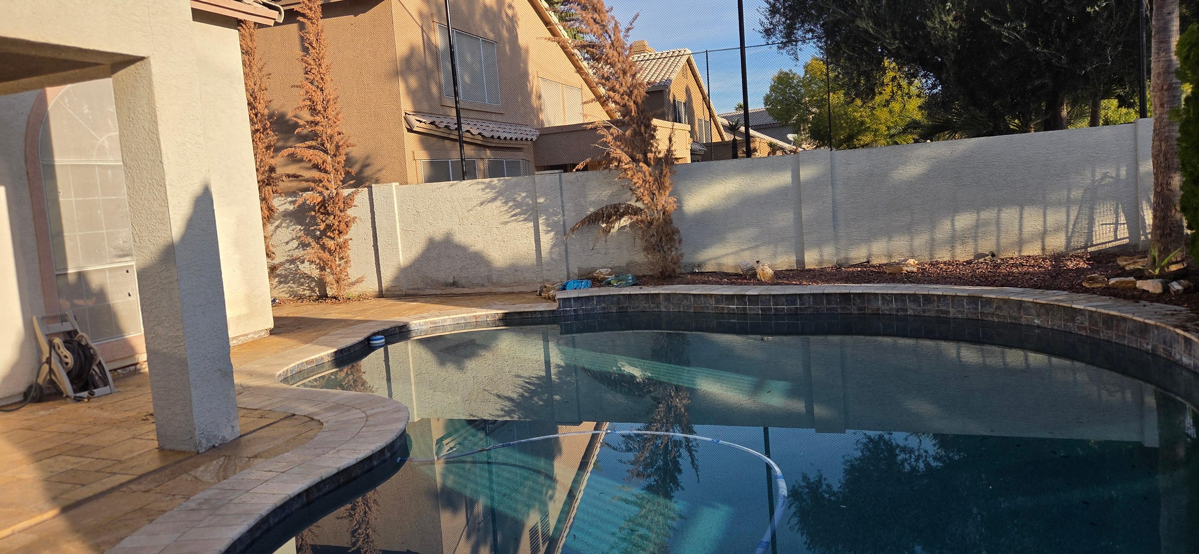 Not a great photo of the back of the house. But all the palm trees are dead, most without any palms. If you count the 2 deflated blowup toys in the dirt, then there are pool toys. Has a lot of damage from being at the end of the driving range.