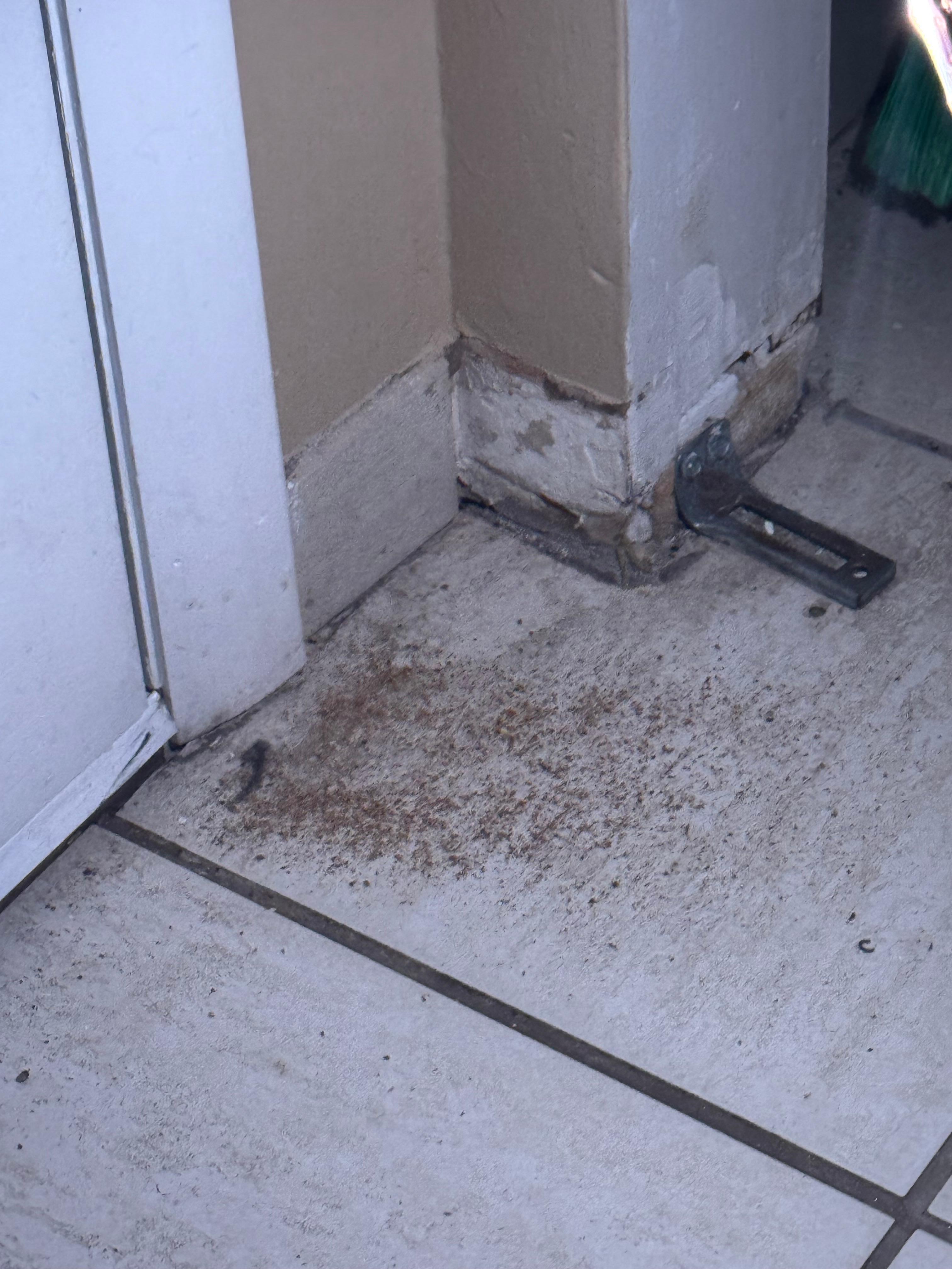 Kitchen floor 