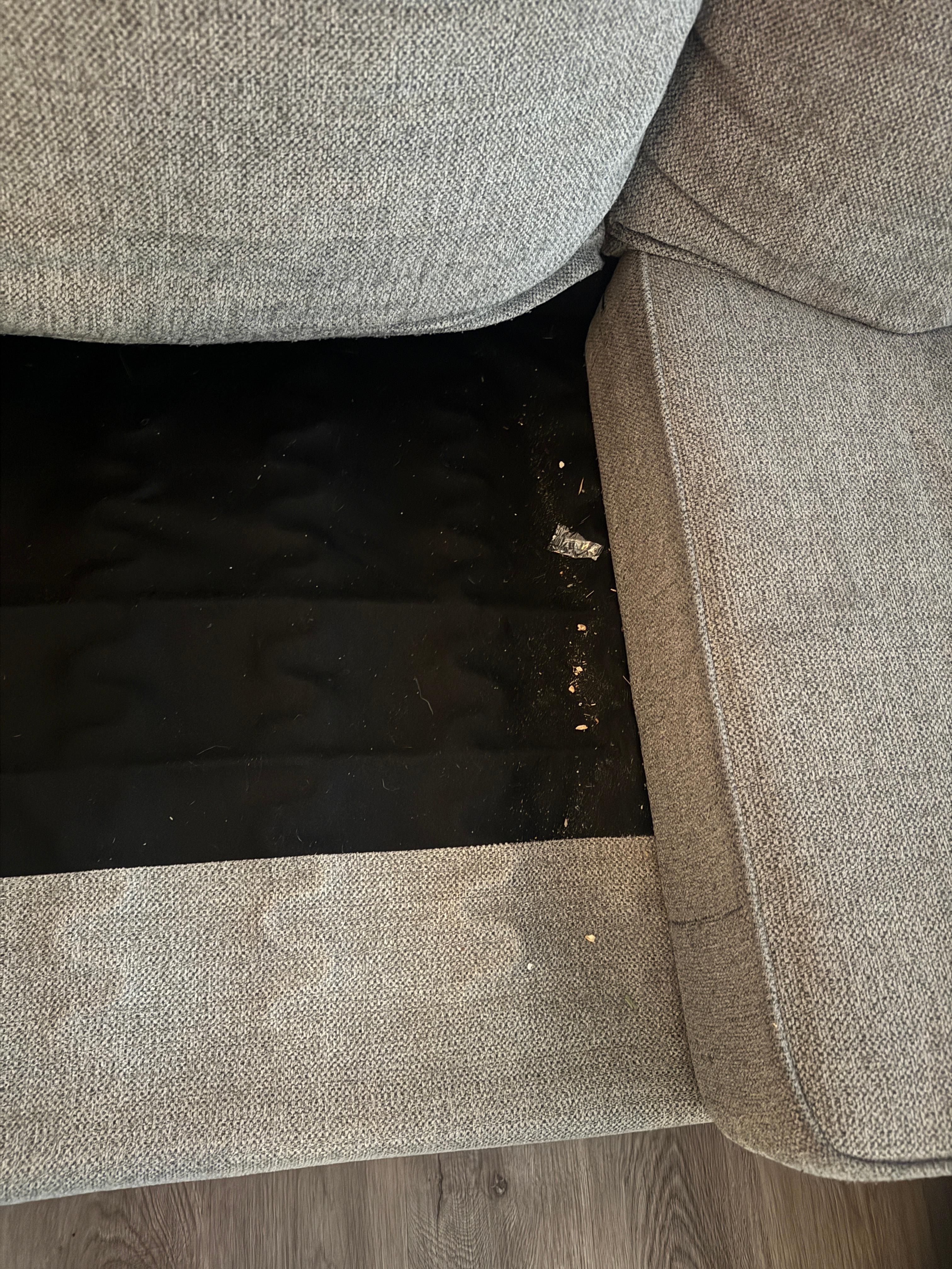 Food crumbs under couch pillow - probable cause of infestation