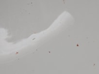 Closer view of blood in the sink
