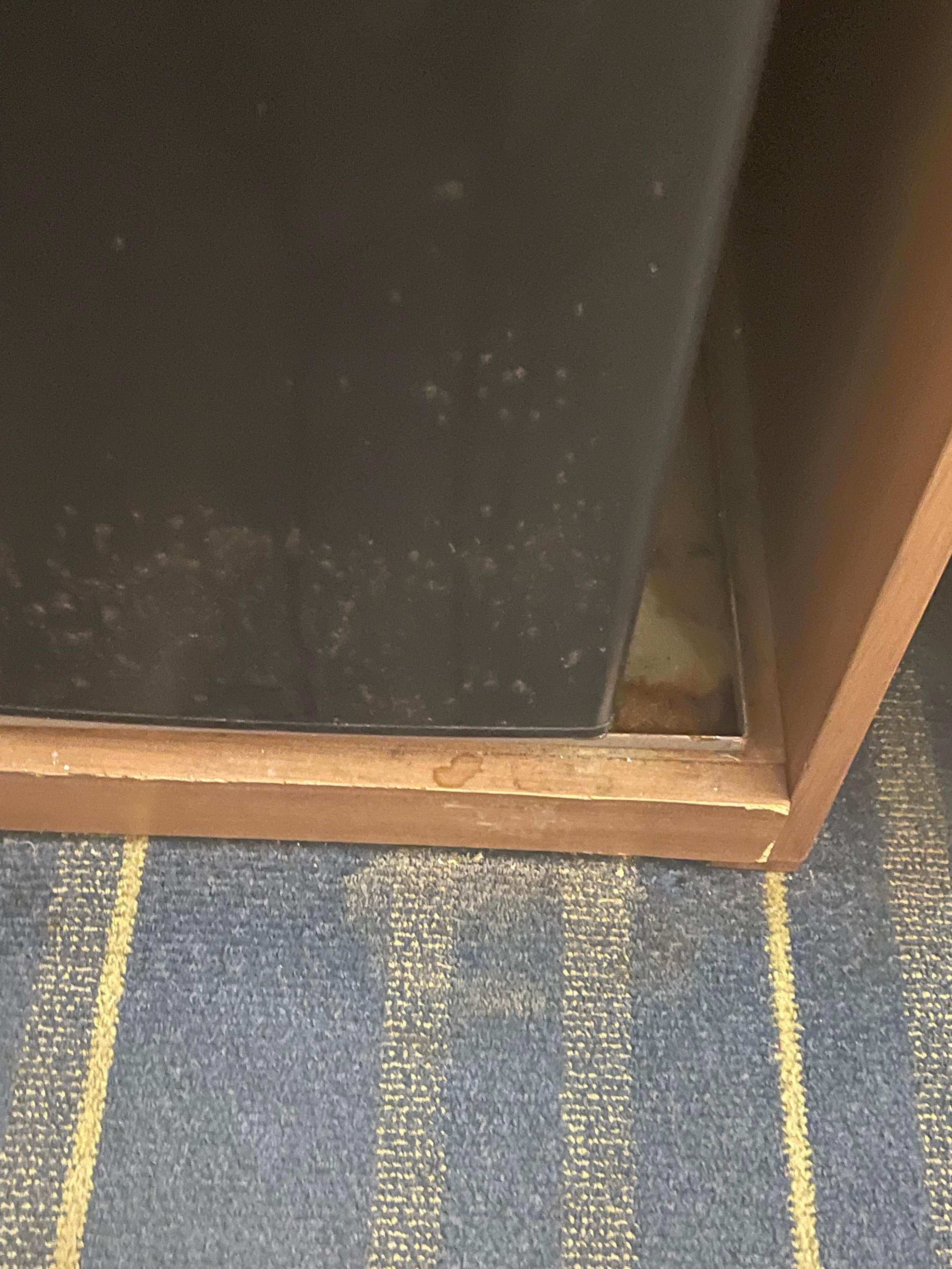 Dirty carpet by refrigerator 