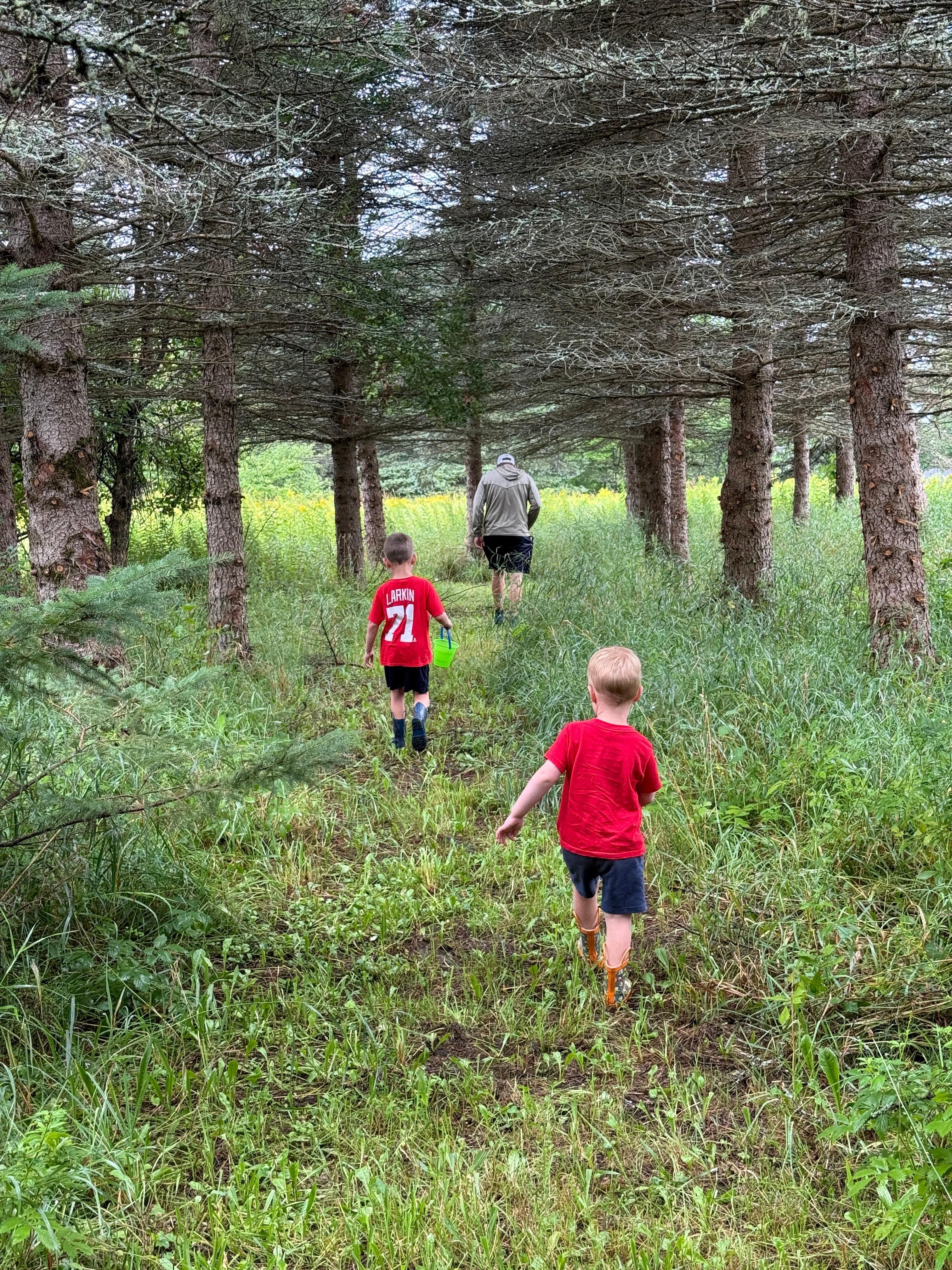 Exploring the walking paths. 