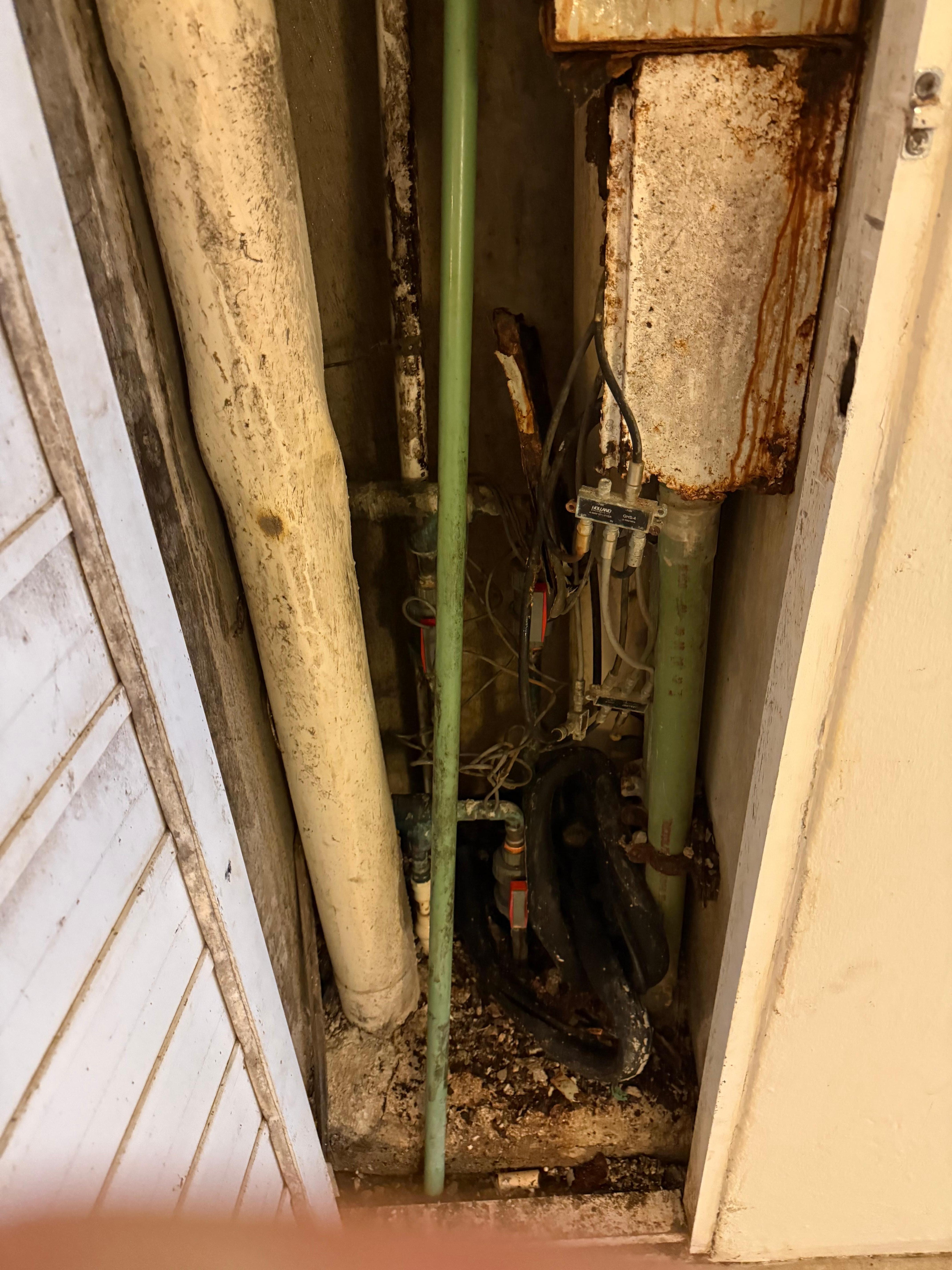 Moldy plumbing closet that connects to the room