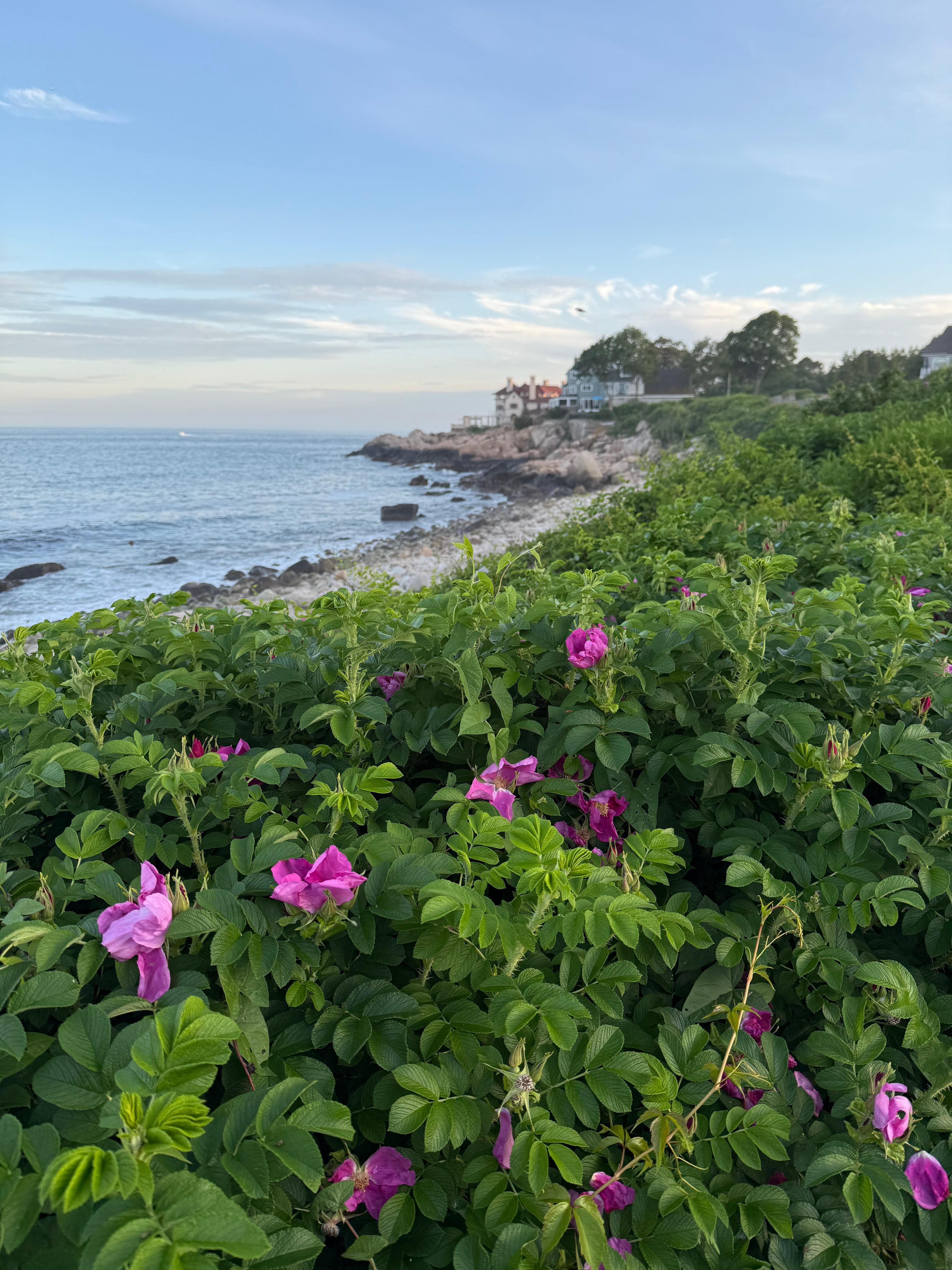 Coastal view