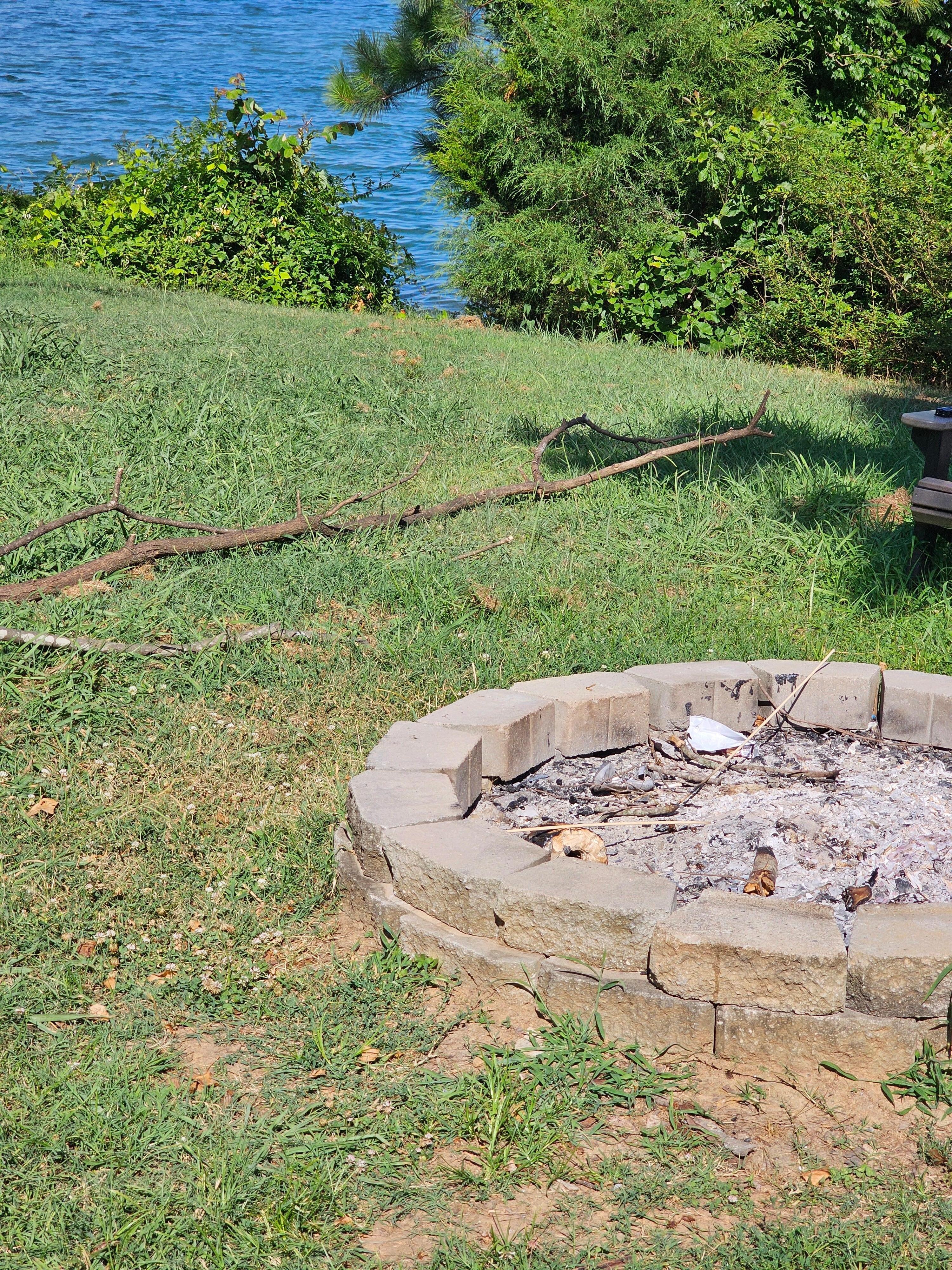 Fire pit after we cleaned it out
