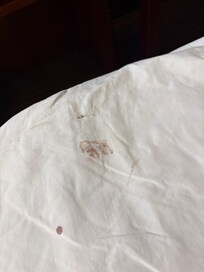 Bloodstained sheets