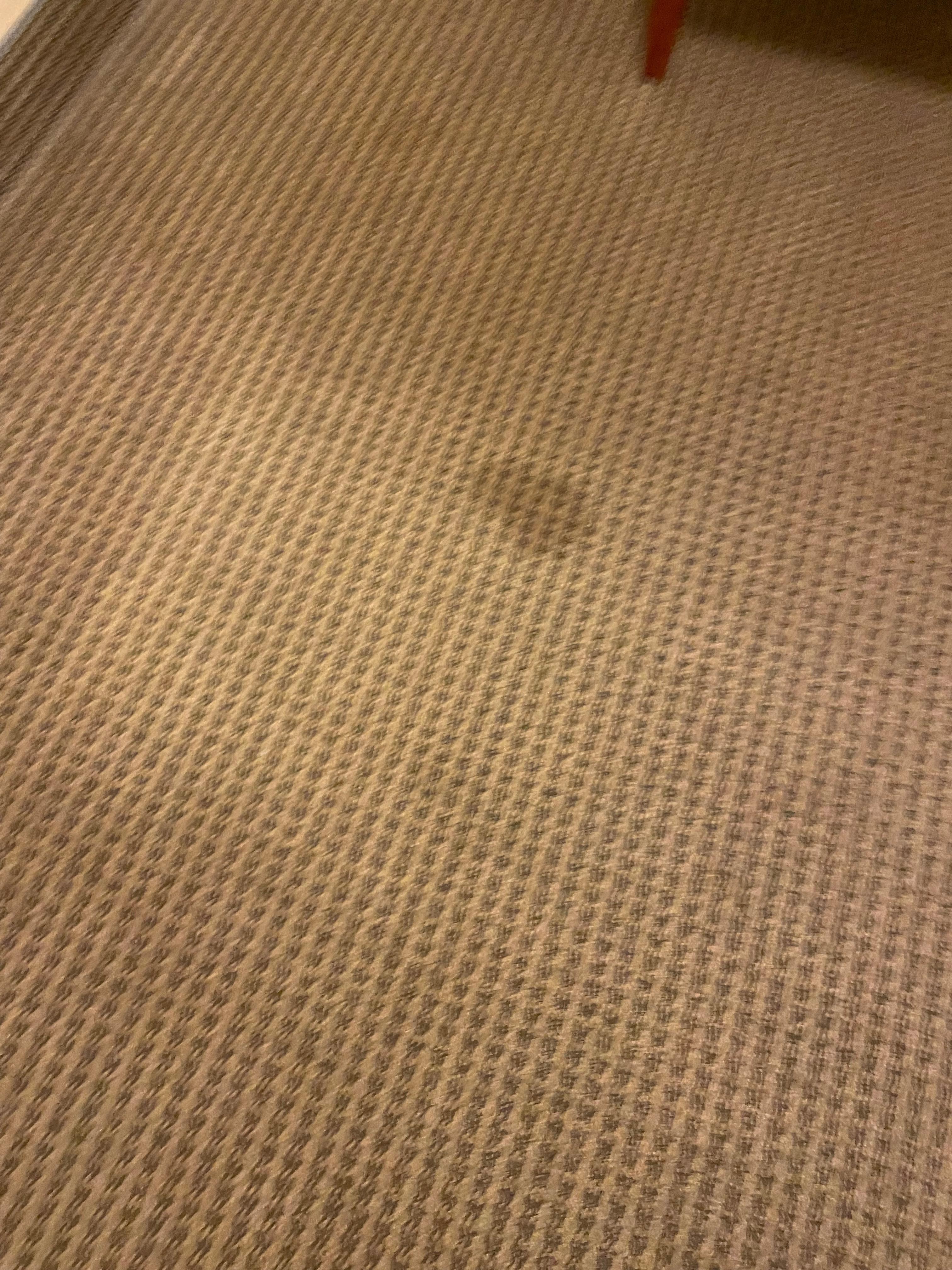 Carpet stains.