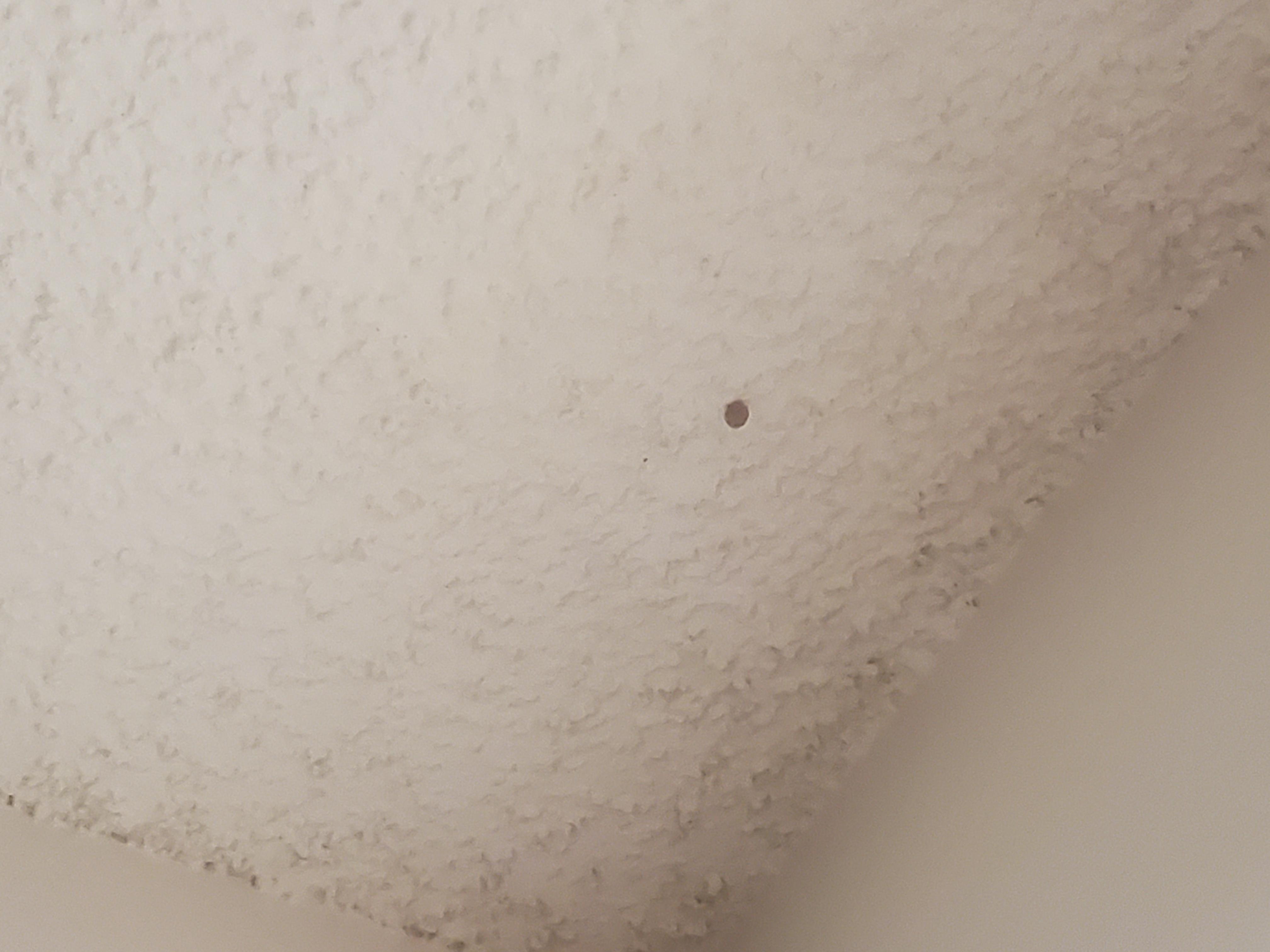 Prior to ladybugs and I am allergic to those as well.