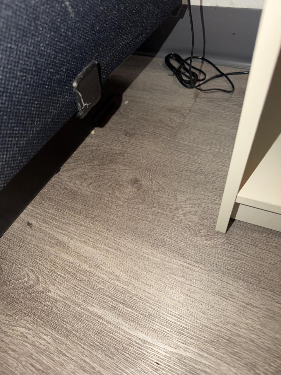 Mais sujeira pelo quarto