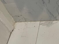 Filth in bathroom corner