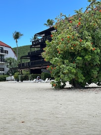 On the beach, looking back up at our rental unit