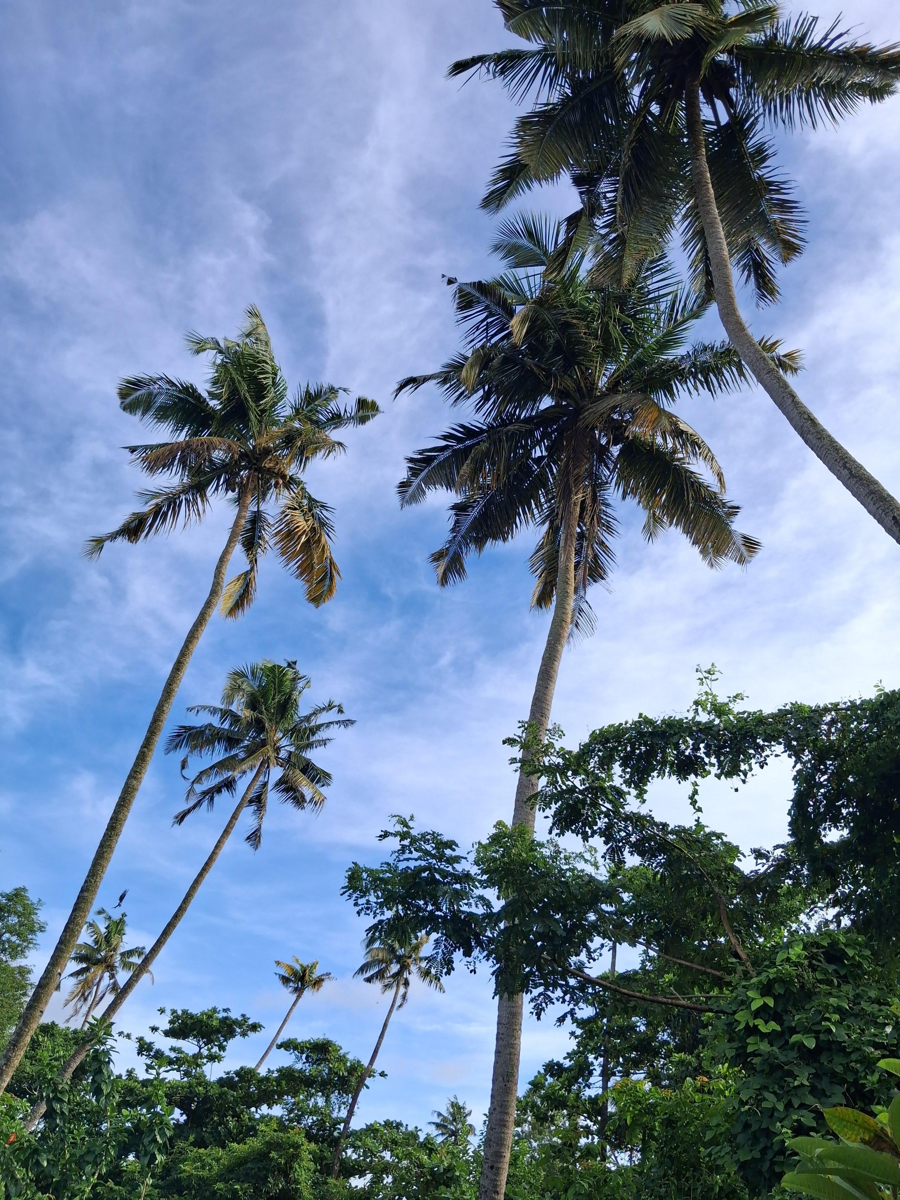 View from the first floor verandah