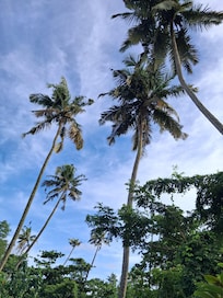 View from the first floor verandah
